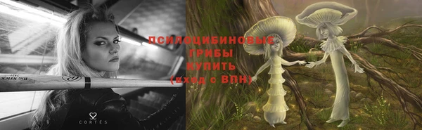 трава Дмитров
