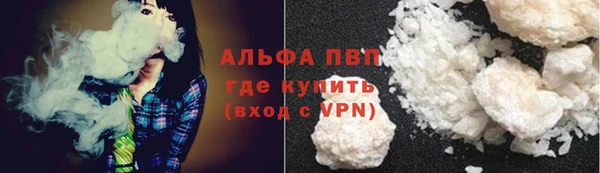 хмурый Ельня