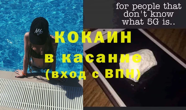 индика Зеленокумск