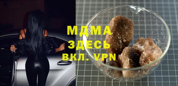 хмурый Ельня
